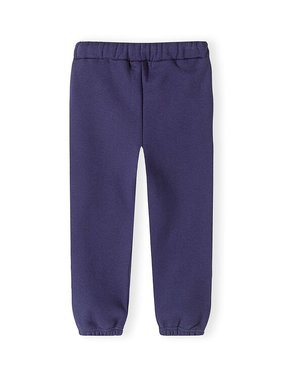 minoti minoti Komplet dresowy 32FLEECE121 Granatowy Regular Fit