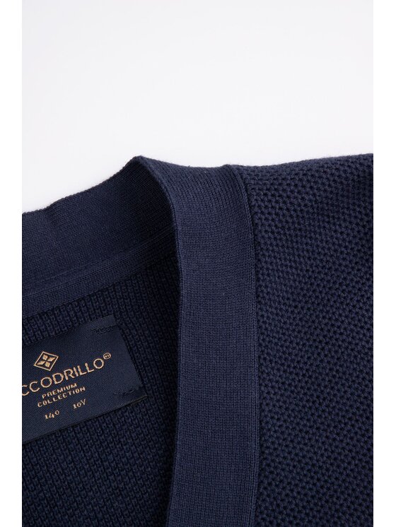 Coccodrillo Coccodrillo Sweter WC6172201EJB-015 Granatowy Regular Fit