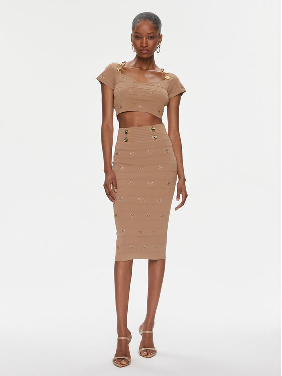 PINKO Pinko Pouzdrová sukně 102883 A1LK Hnědá Slim Fit