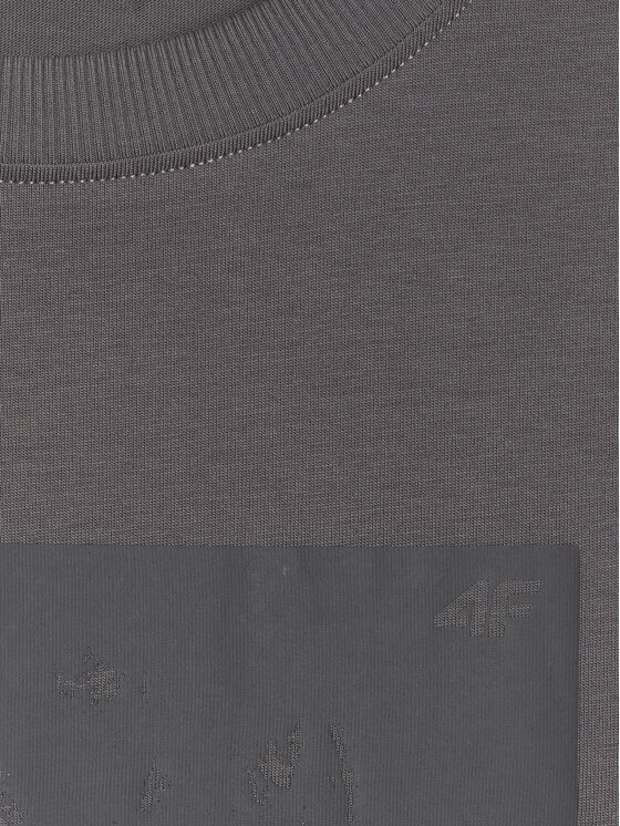 4F 4F T-Shirt TREKKING Szary Regular Fit