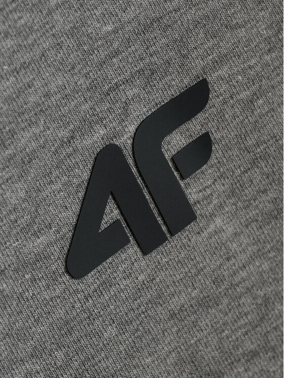 4F 4F Longsleeve BASIC+ Szary Slim Fit