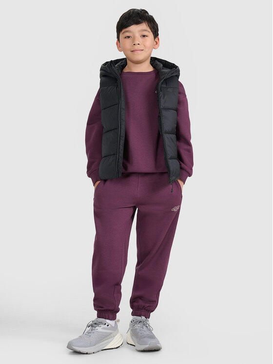 4F 4F Kamizelka OUTERWEAR Czarny Regular Fit