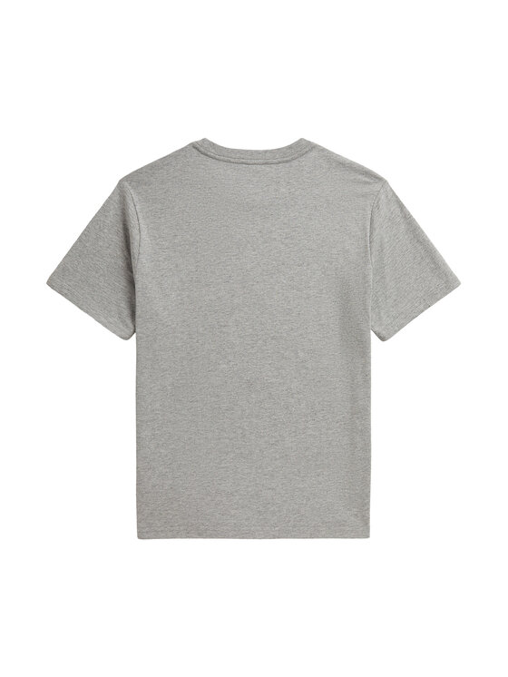 Polo Ralph Lauren Polo Ralph Lauren T-särk 323B27334001 Hall Regular Fit
