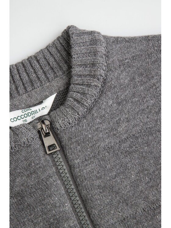 Coccodrillo Coccodrillo Sveter ZC6172201GBK-019 Sivá Regular Fit