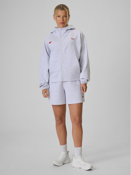 4F 4F Szorty sportowe STREFA KIBICA Szary jasny Regular Fit