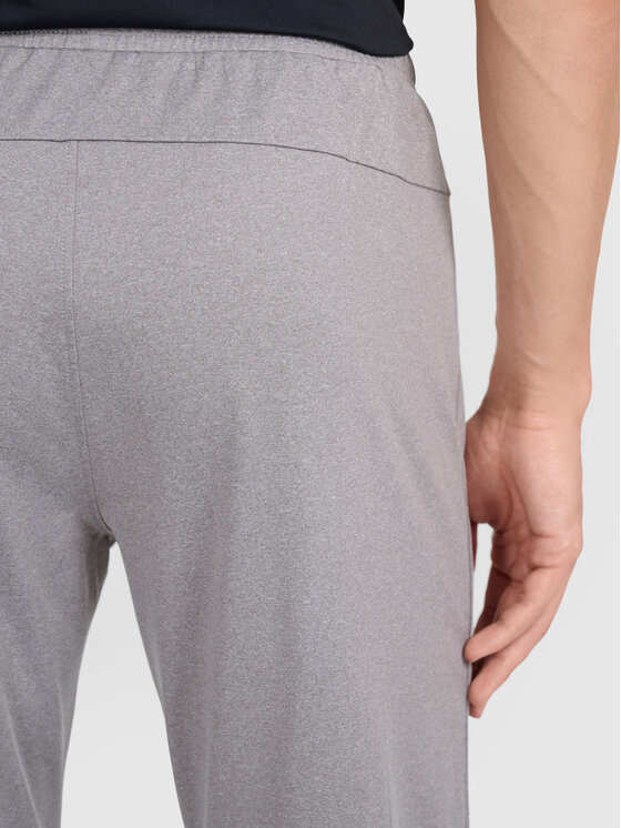 4F 4F Teplákové nohavice MULTI ACTIVE Sivá Regular Fit
