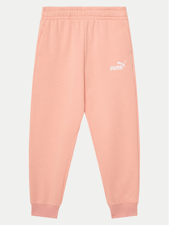 Puma Puma Анцуг 686304 Розов Regular Fit