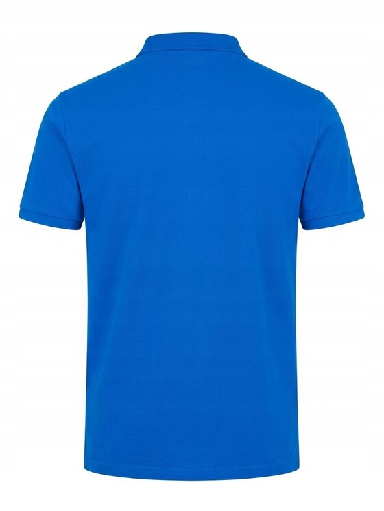 4F 4F Polo Z-0770-2-L Biały Regular Fit