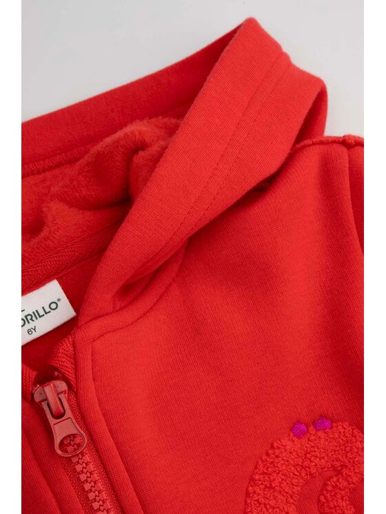 Coccodrillo Coccodrillo Mikina ZC5132601AGK-009 Červená Regular Fit