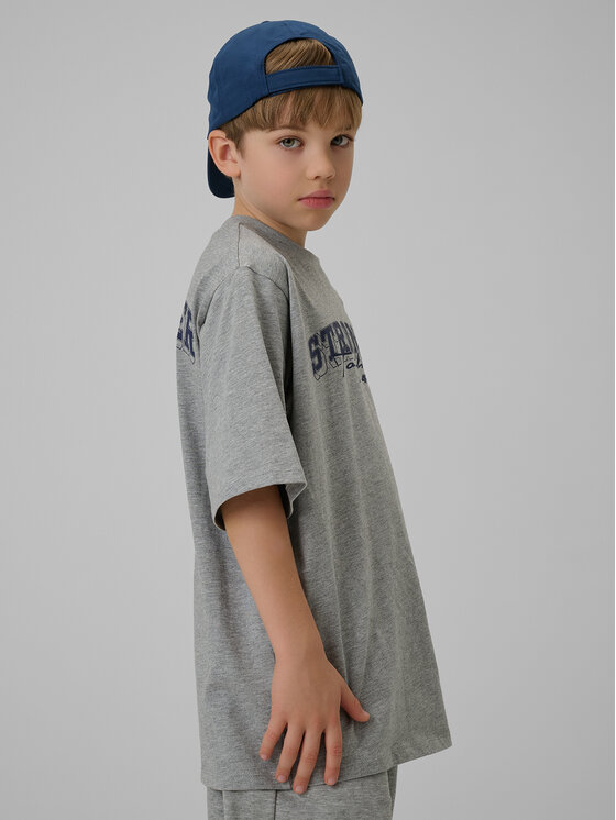 4F 4F T-Shirt CAMPUS VIBES Szary jasny Loose Fit