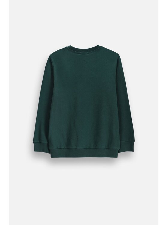 Coccodrillo Coccodrillo S dlouhým rukávem ZC6143101VBA-011 Zelená Regular Fit