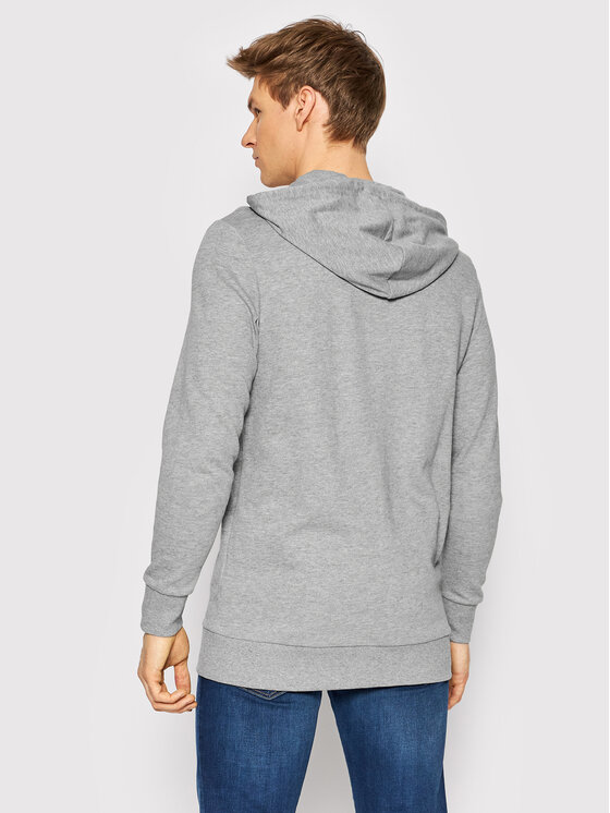 Felpa Dusty 12201420 Grigio Regular Fit