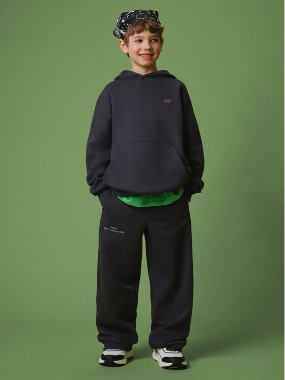 4F 4F Bluza ENJOY THE OUTDOORS Szary ciemny Loose Fit