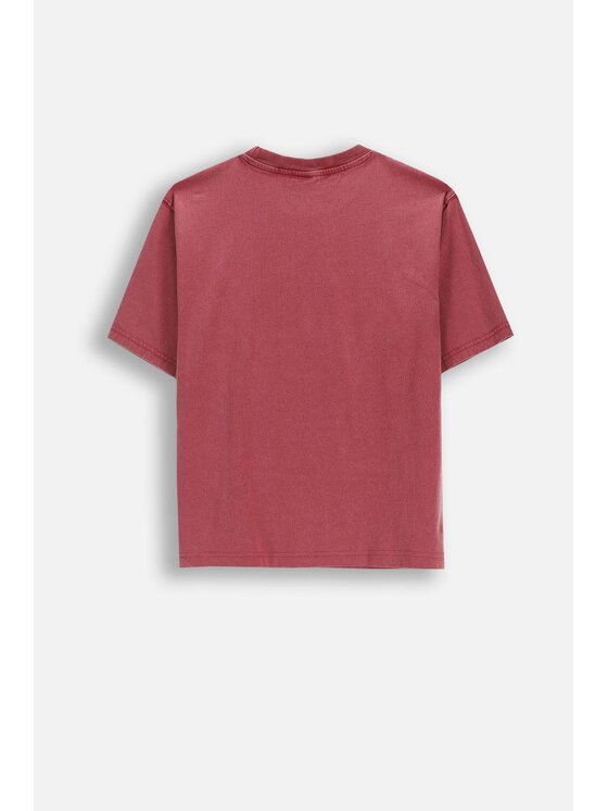 Coccodrillo Coccodrillo T-Shirt WC6143206FBJ-017 Bordowy Regular Fit
