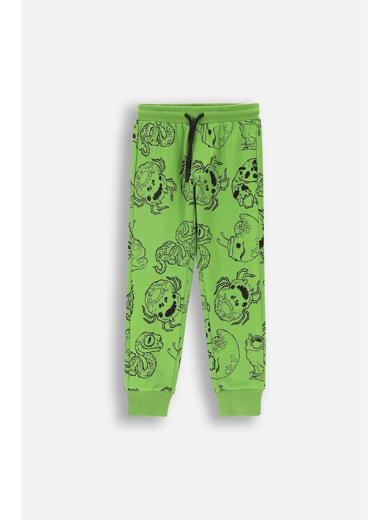 Coccodrillo Coccodrillo Legginsy ZC4122701GBK-011 Zielony Regular Fit