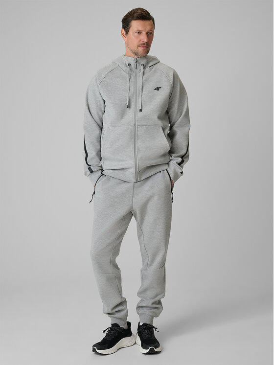 4F 4F Spodnie dresowe COMMERCIAL 12 Szary jasny Regular Fit