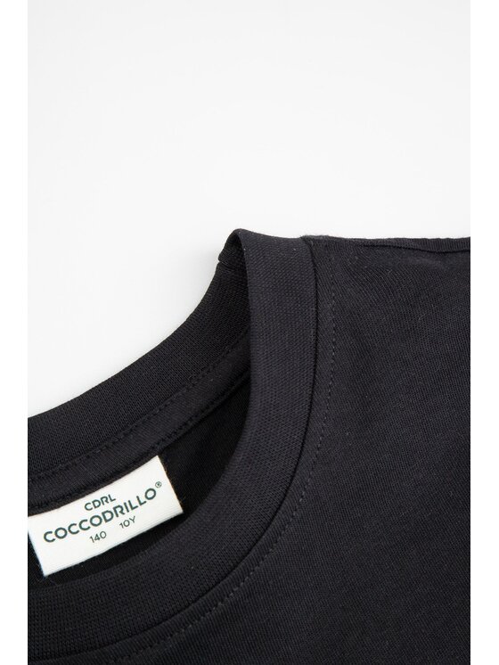 Coccodrillo Coccodrillo T-Shirt ZC6143216LBD-021 Černá Regular Fit