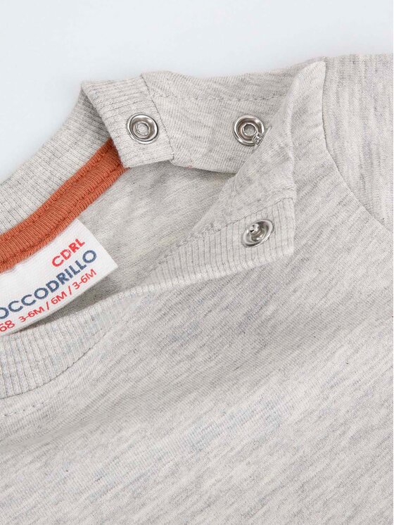 Coccodrillo Coccodrillo Bluse ZC2143105FON Grau Regular Fit