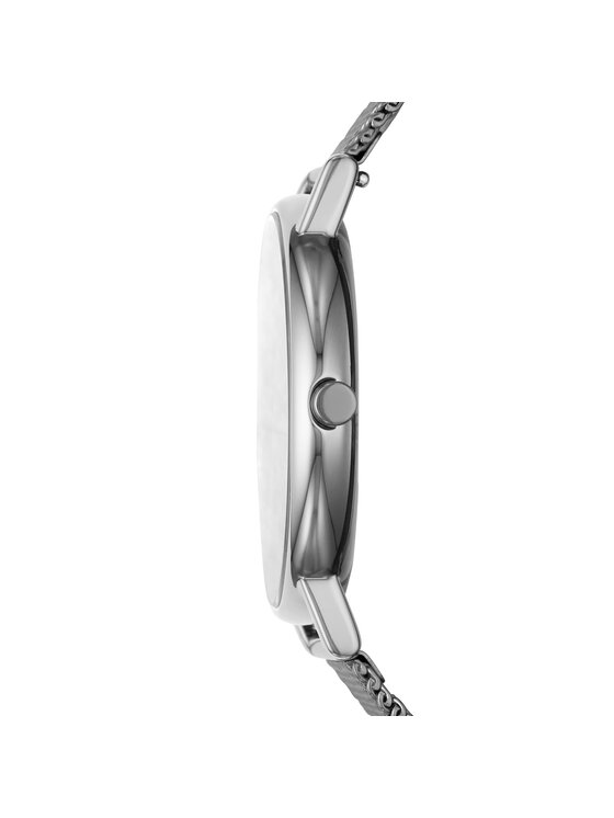 Skagen Skagen Hodiny 6454 Sivá