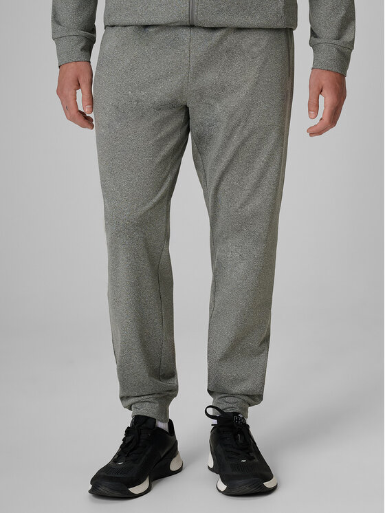 4F 4F Spodnie dresowe BASIC+ Szary Regular Fit