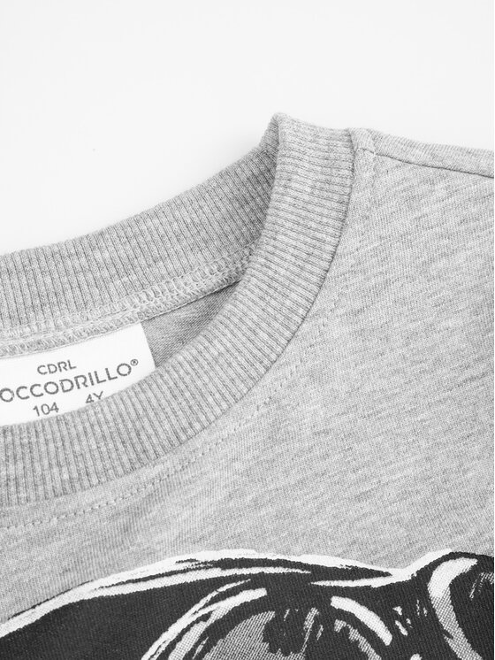 Coccodrillo Coccodrillo Тишърт ZC4143201VBA Сив Regular Fit