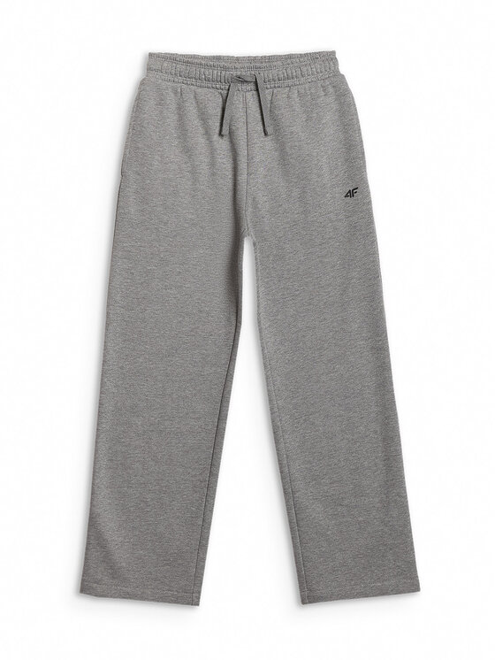 4F 4F Spodnie dresowe BASIC+ Szary Regular Fit