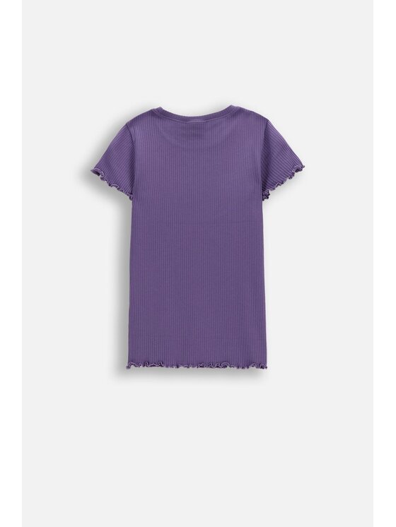 Coccodrillo Coccodrillo T-Shirt WC6143226VGA-016 Fioletowy Regular Fit