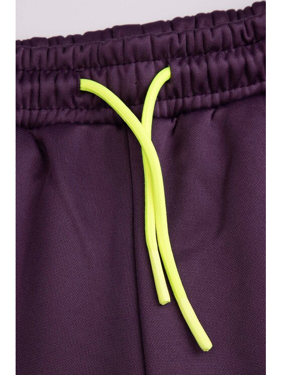 Lemon Explore Lemon Explore Spodnie dresowe ZL4120901ACG-016 Fioletowy Regular Fit