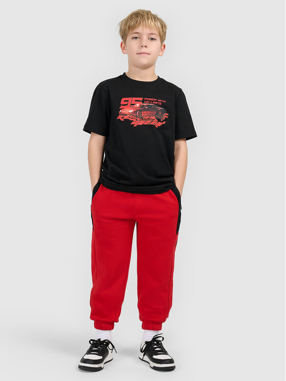 4F 4F Spodnie dresowe ESPORTS RACING Czerwony Regular Fit