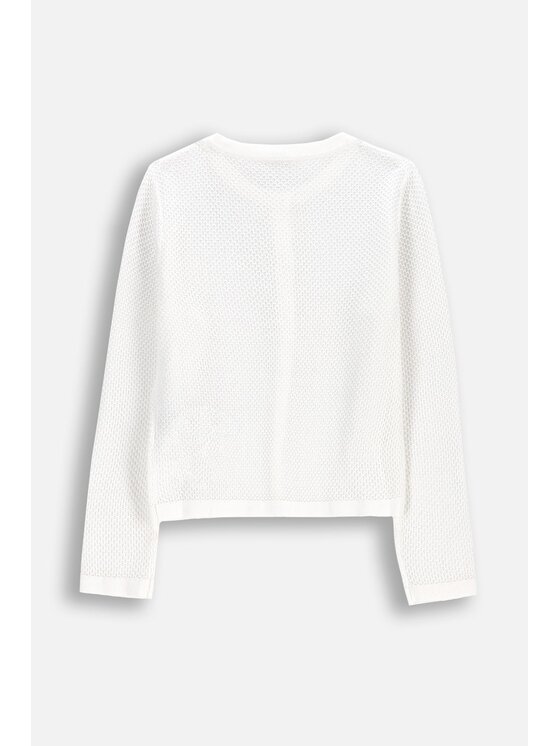 Coccodrillo Coccodrillo Sweter WC6172205EJG-001 Biały Regular Fit