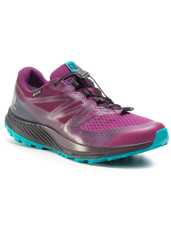 Salomon Salomon Bėgimo batai Sense Escape 2 Gtx W GORE-TEX 407924 25 W0 Violetinė