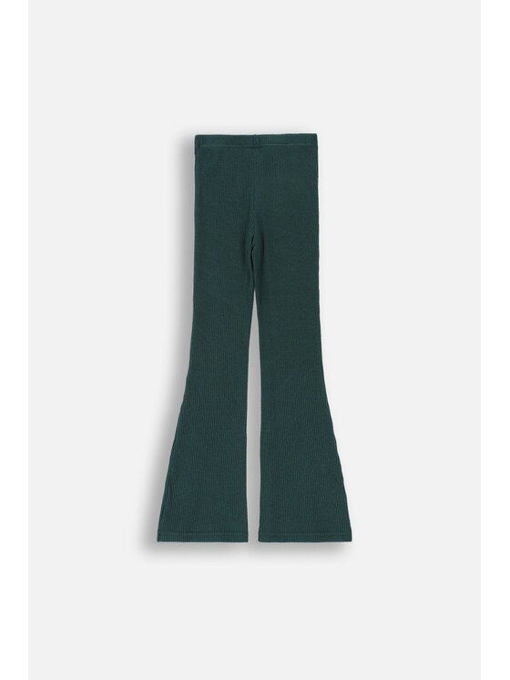 Coccodrillo Coccodrillo Legginsy ZC4122201EJG-011 Zielony