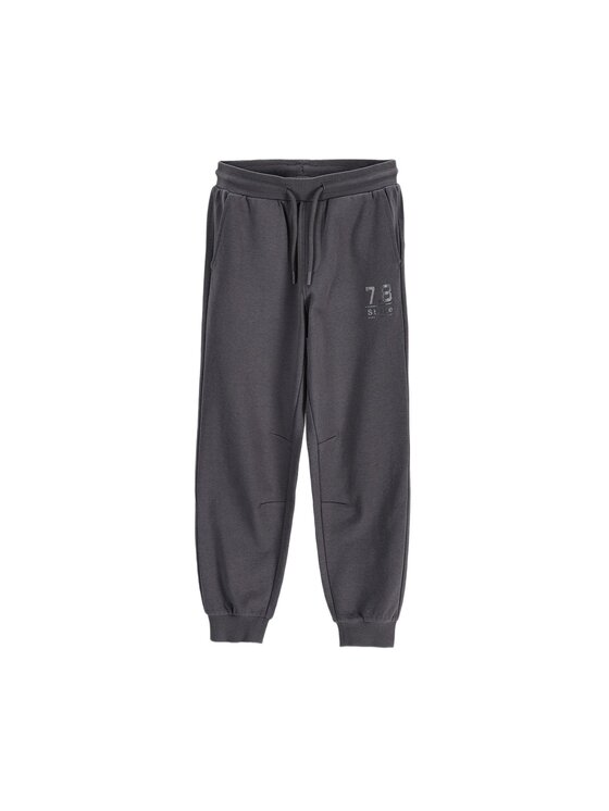 Coccodrillo Coccodrillo Spodnie dresowe ZC6120101VBA-020 Szary Regular Fit