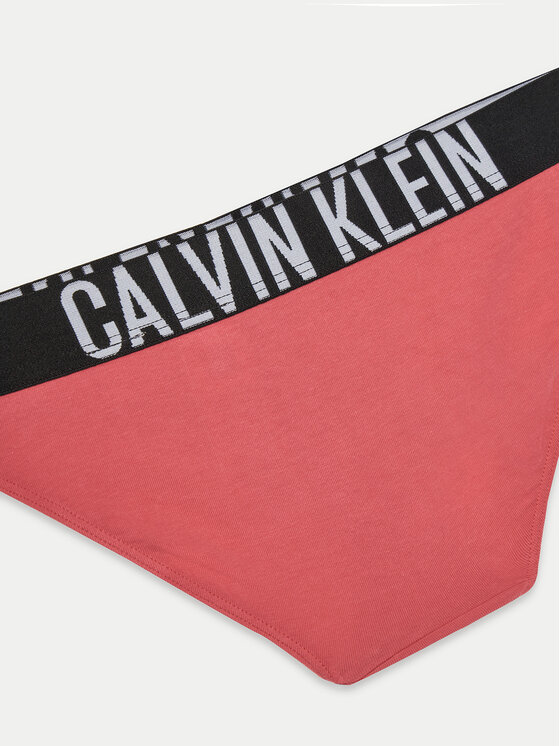 Calvin Klein Underwear Calvin Klein Underwear Set bikini gaćica﻿ G80G800729 Šarena