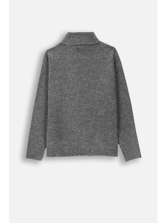 Coccodrillo Coccodrillo Sweter ZC4172201WBJ-020 Szary Regular Fit