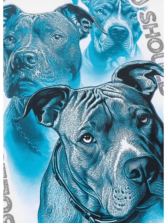 PITBULL PITBULL T-Shirt PROTECTOR Biały Regular Fit