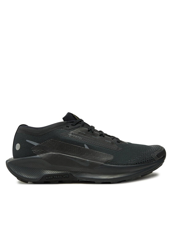 Nike Bežecké topánky Pegasus Trail 5 Gtx GORE-TEX FQ0908 002 Čierna