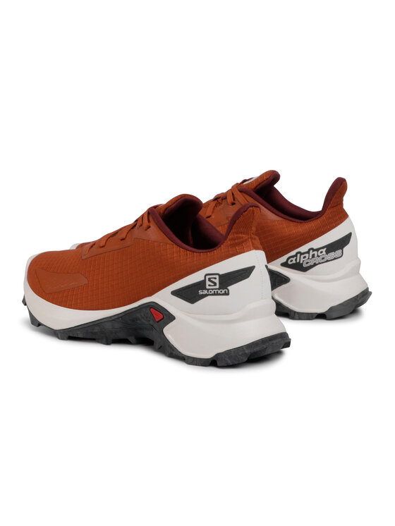 Salomon Salomon Tekaški čevlji Alphacross Blast 411035 28 W0 Rjava