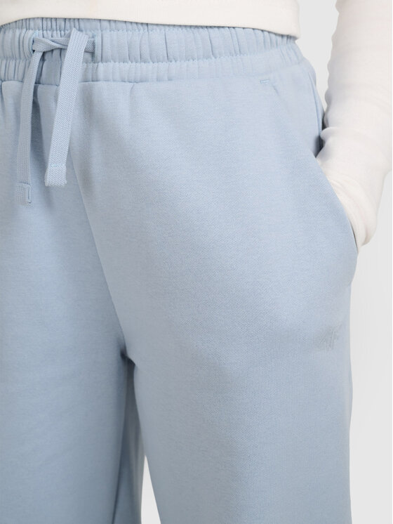 4F 4F Spodnie dresowe BASIC+ Niebieski jasny Regular Fit