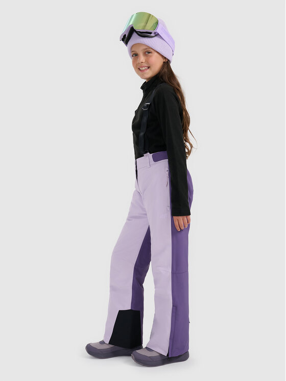 4F 4F Spodnie snowboardowe SKI CLASSIC Fioletowy Regular Fit