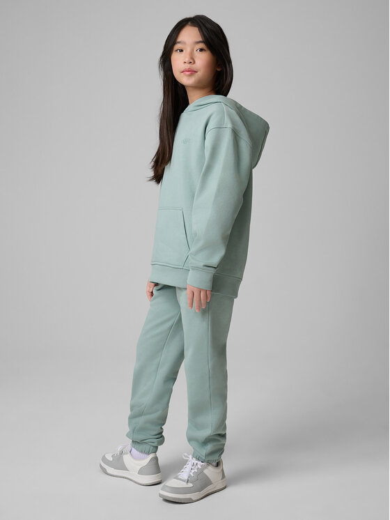 4F 4F Spodnie dresowe BASIC+ Turkusowy Regular Fit