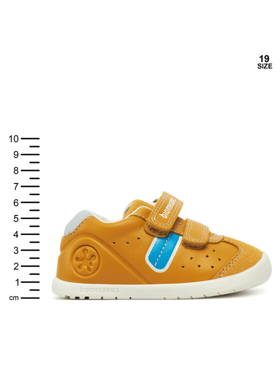 Biomecanics Biomecanics Tossud 252162 M Kollane