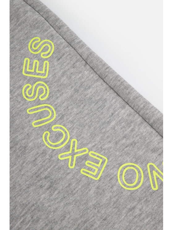 Lemon Explore Lemon Explore Spodnie dresowe WL4120107CWB-019 Szary Regular Fit