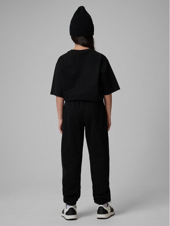 4F 4F Spodnie dresowe BASIC+ Czarny Regular Fit