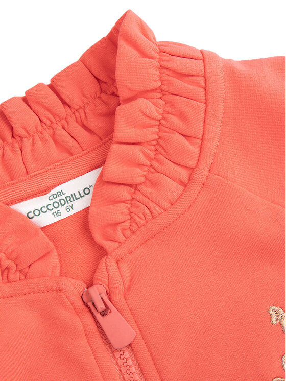 Coccodrillo Coccodrillo Felpa WC5132201NGK Arancione Regular Fit