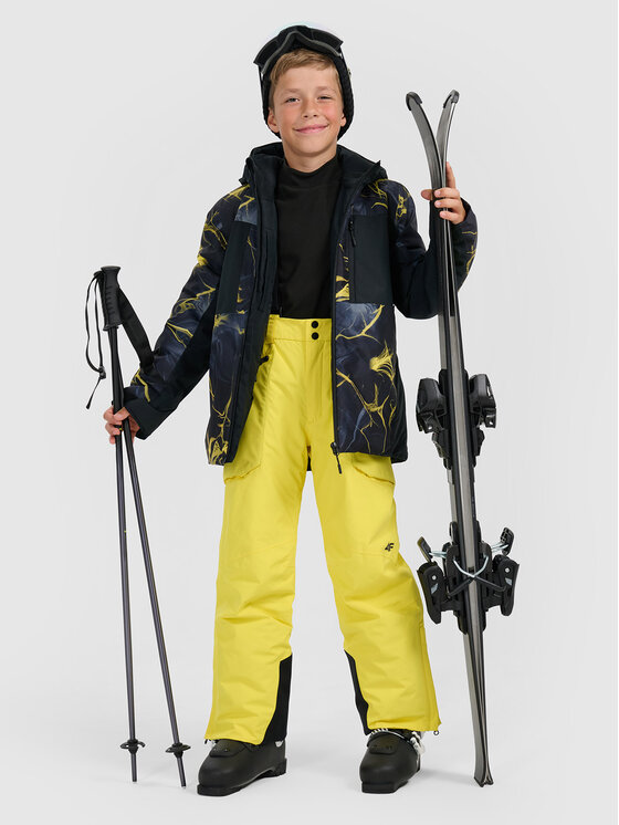 4F 4F Kurtka narciarska BASIC SKI Kolorowy Regular Fit
