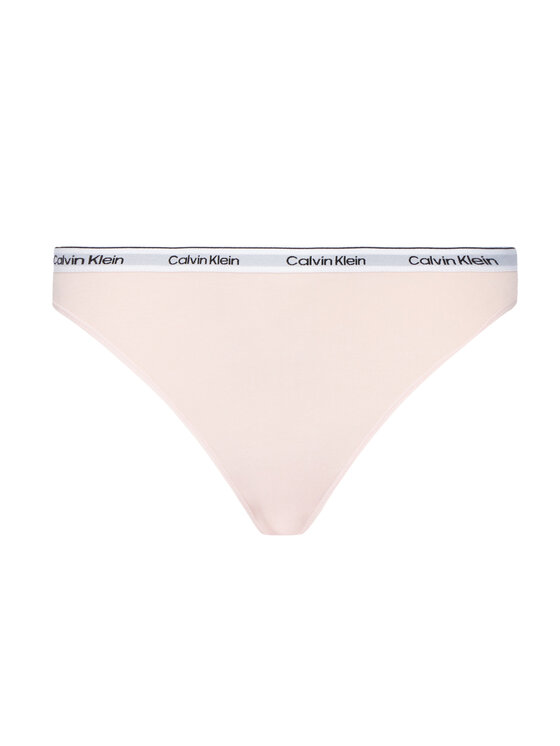 Calvin Klein Underwear Calvin Klein Underwear 2er-Set klassische Damenslips 000QD5208E Bunt