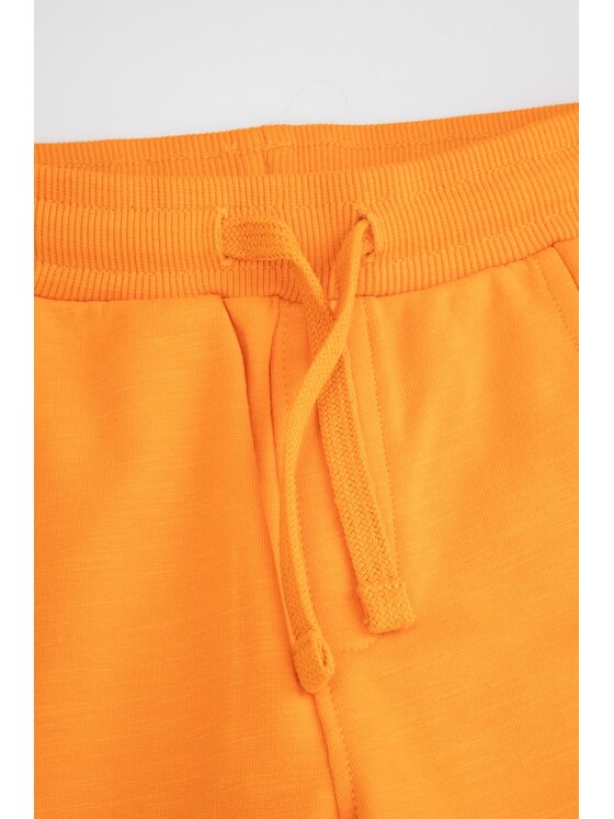 Coccodrillo Coccodrillo Teplákové nohavice WC5120101TBN-006 Oranžová Regular Fit