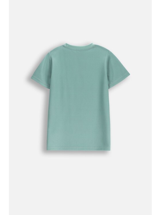 Lemon Explore Lemon Explore T-Shirt WL5143202ACB-012 Zielony Regular Fit