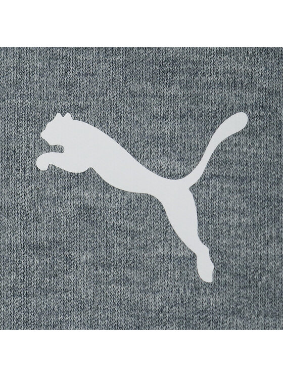 Puma Puma Bluza 538131 Szary Regular Fit